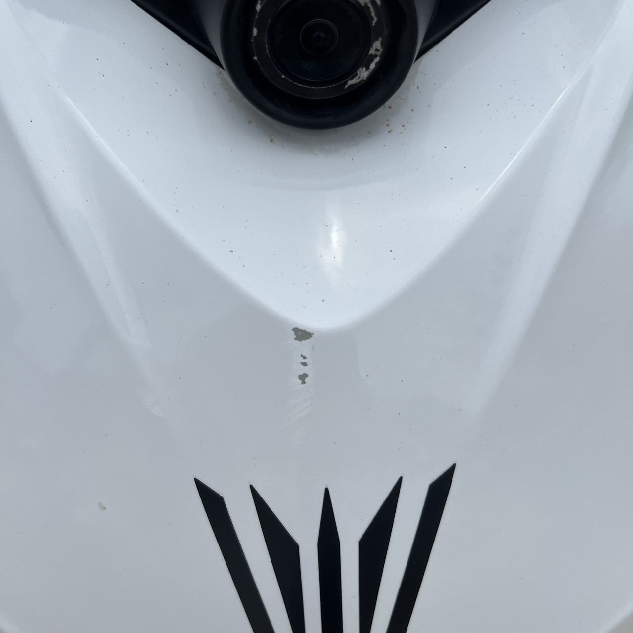 S__236494865_0