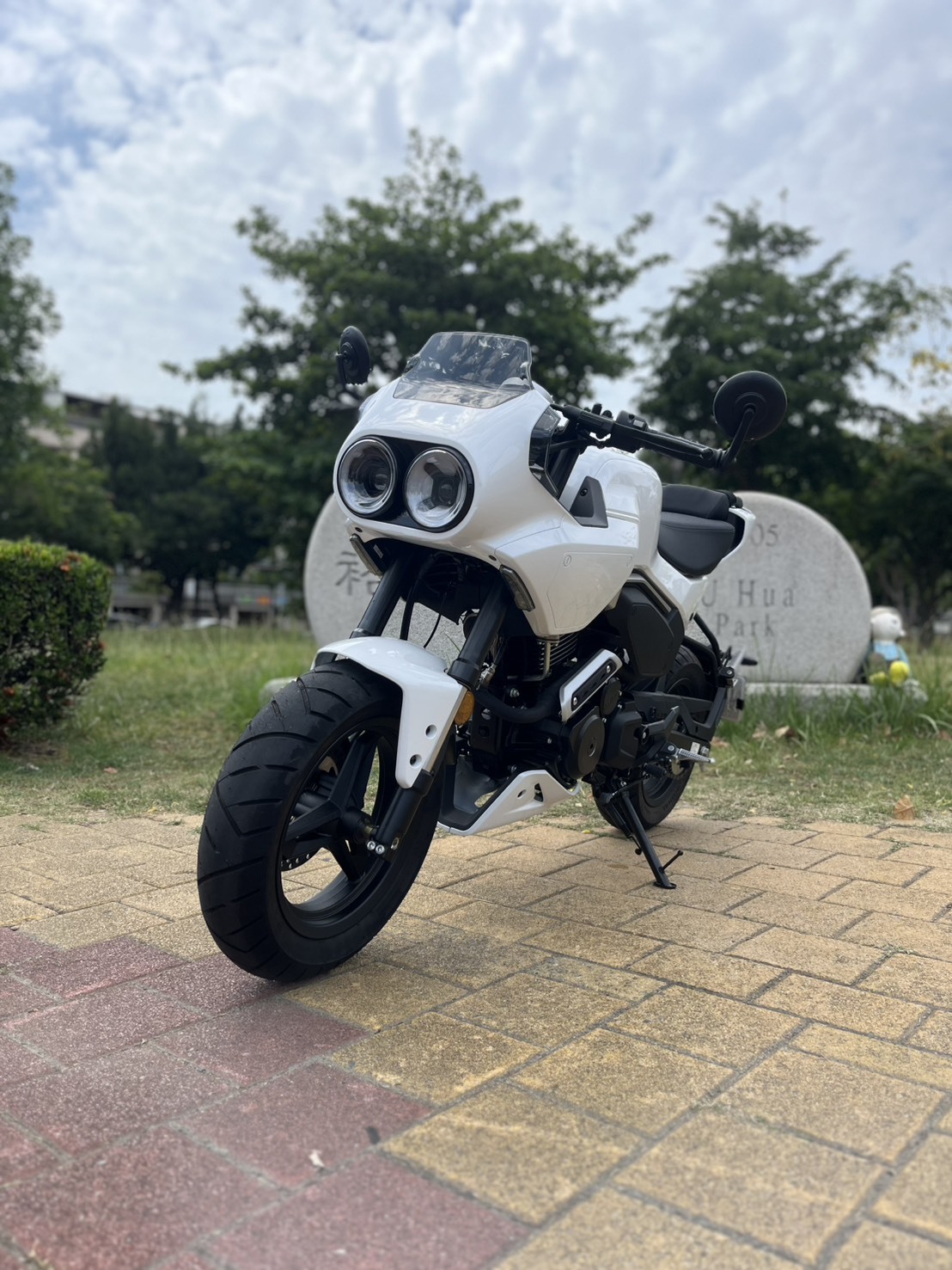 S__236929030_0
