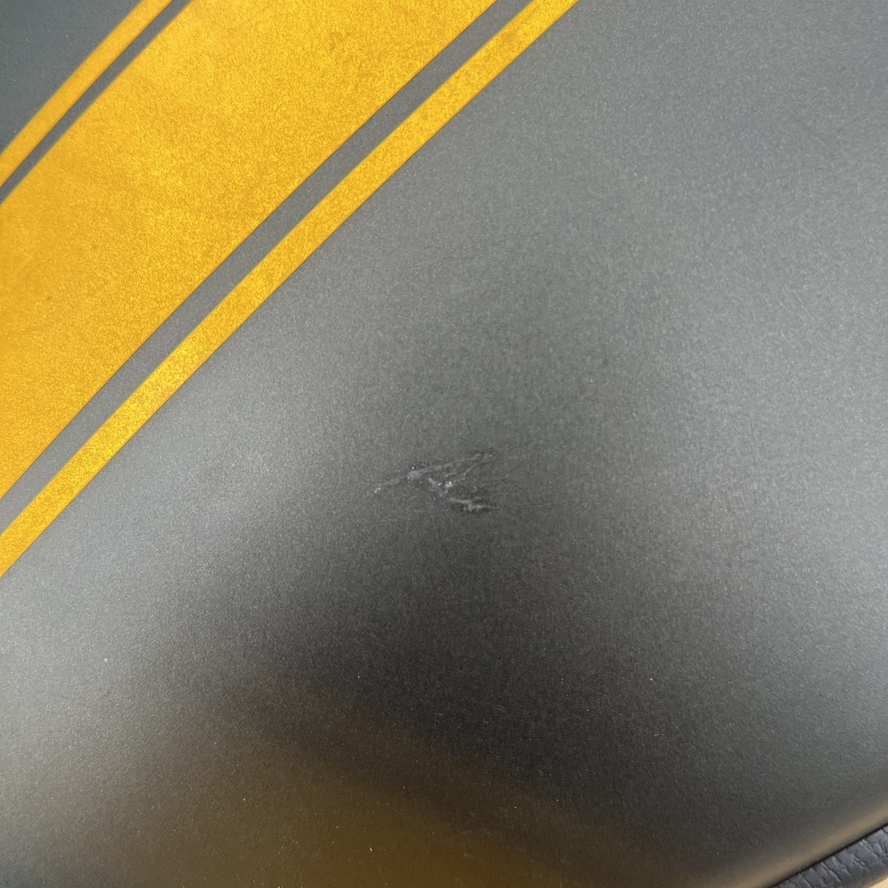 S__236937238_0
