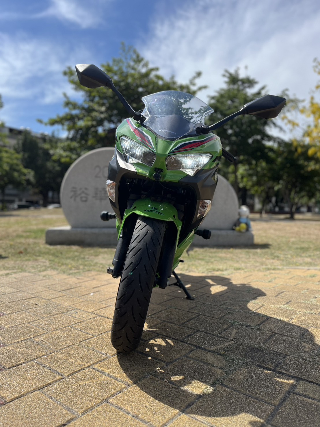 S__237977605_0