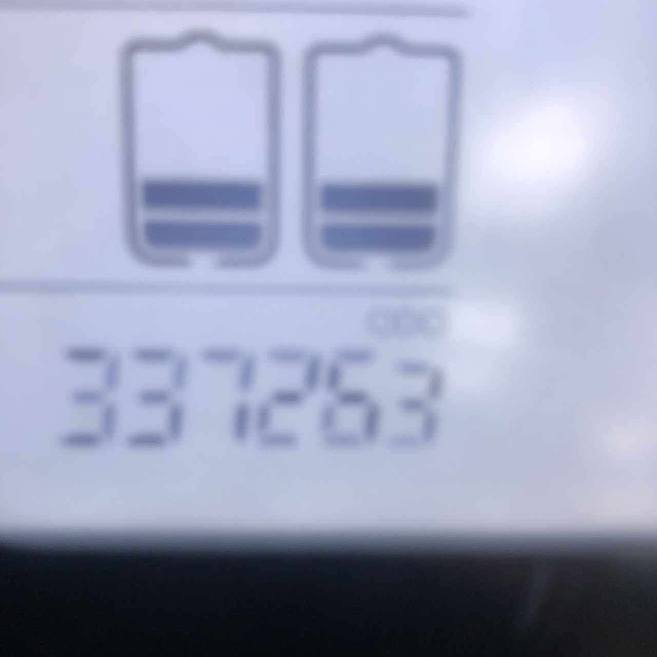 S__243621914_0