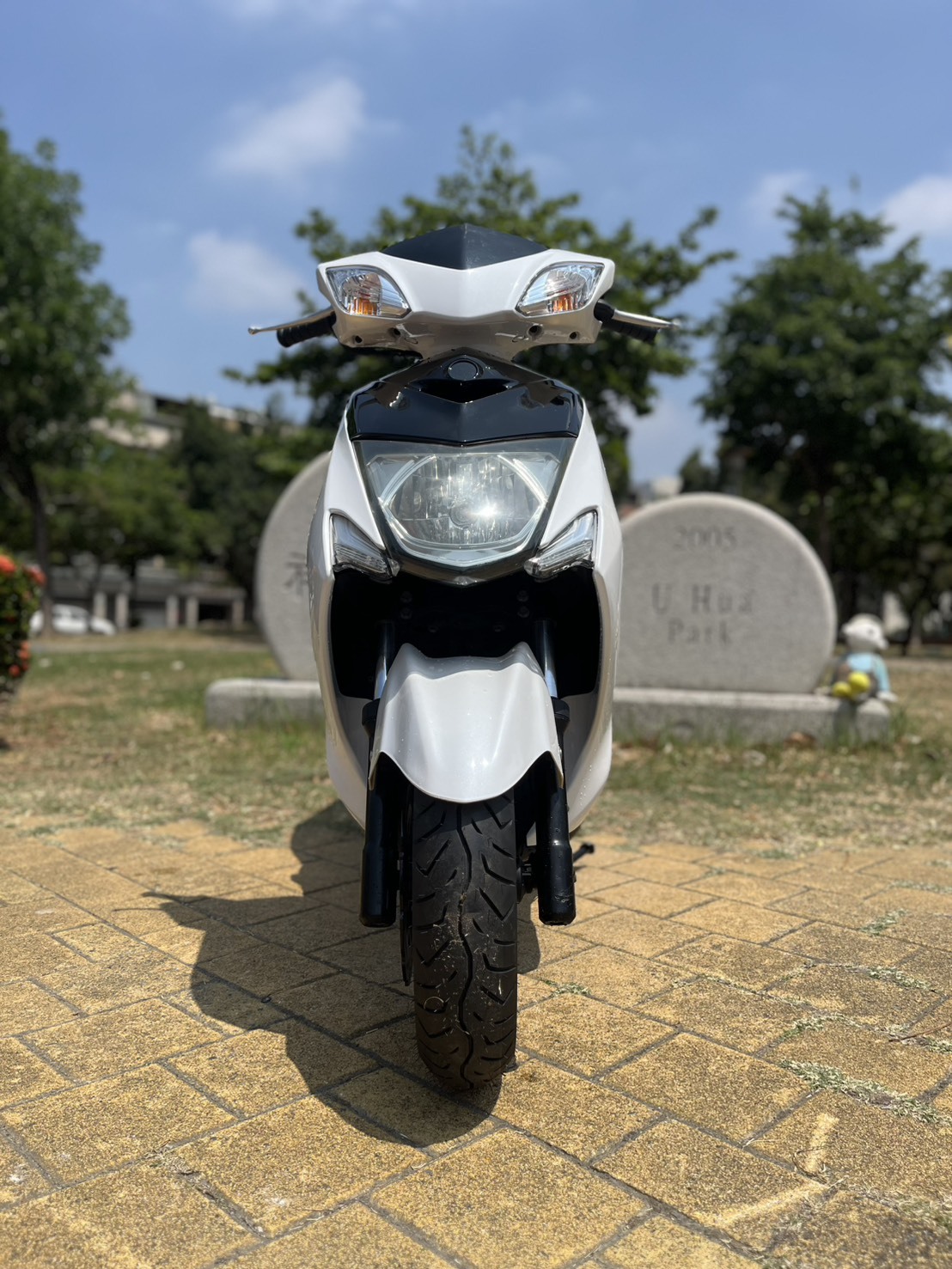 S__240181253_0