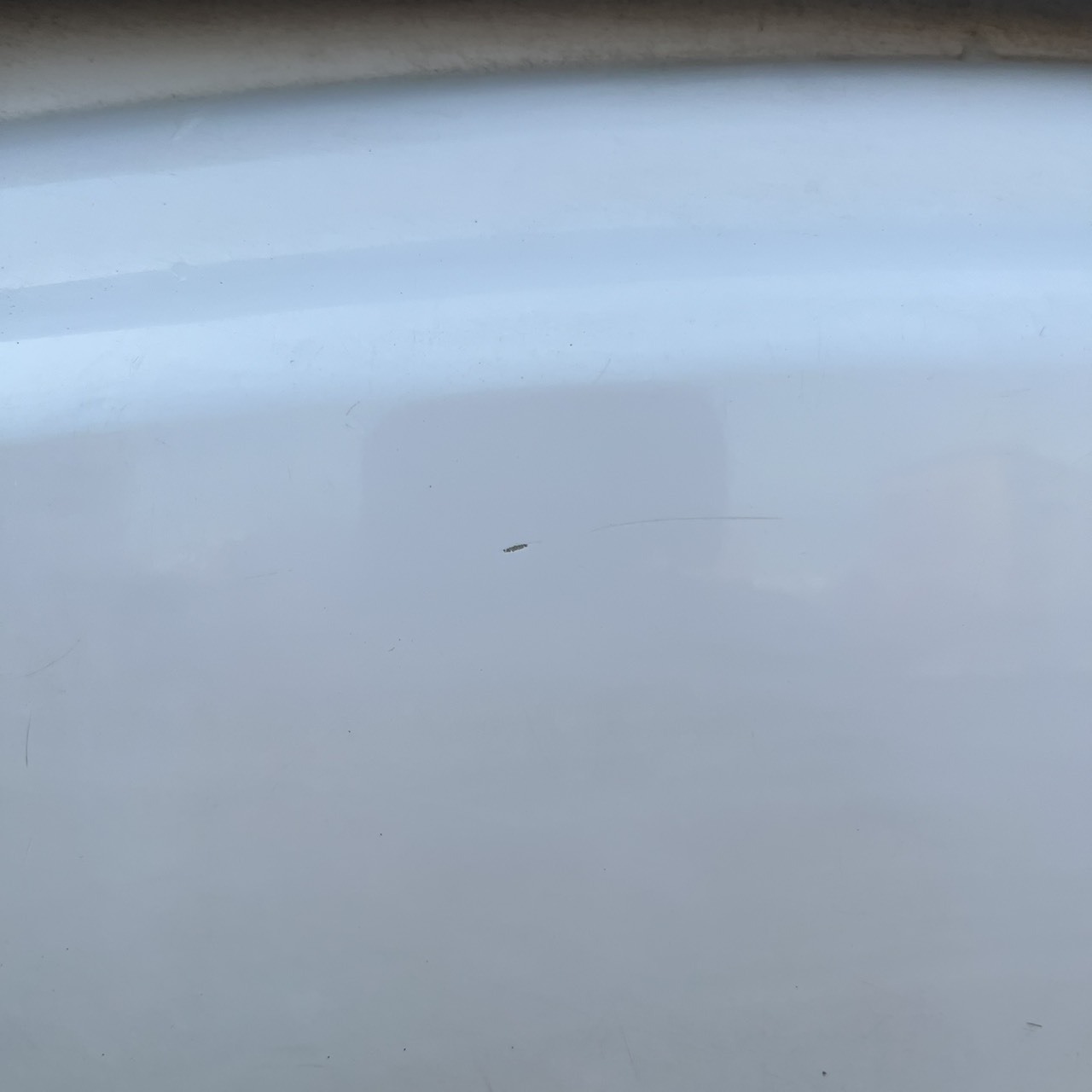 S__240312332_0