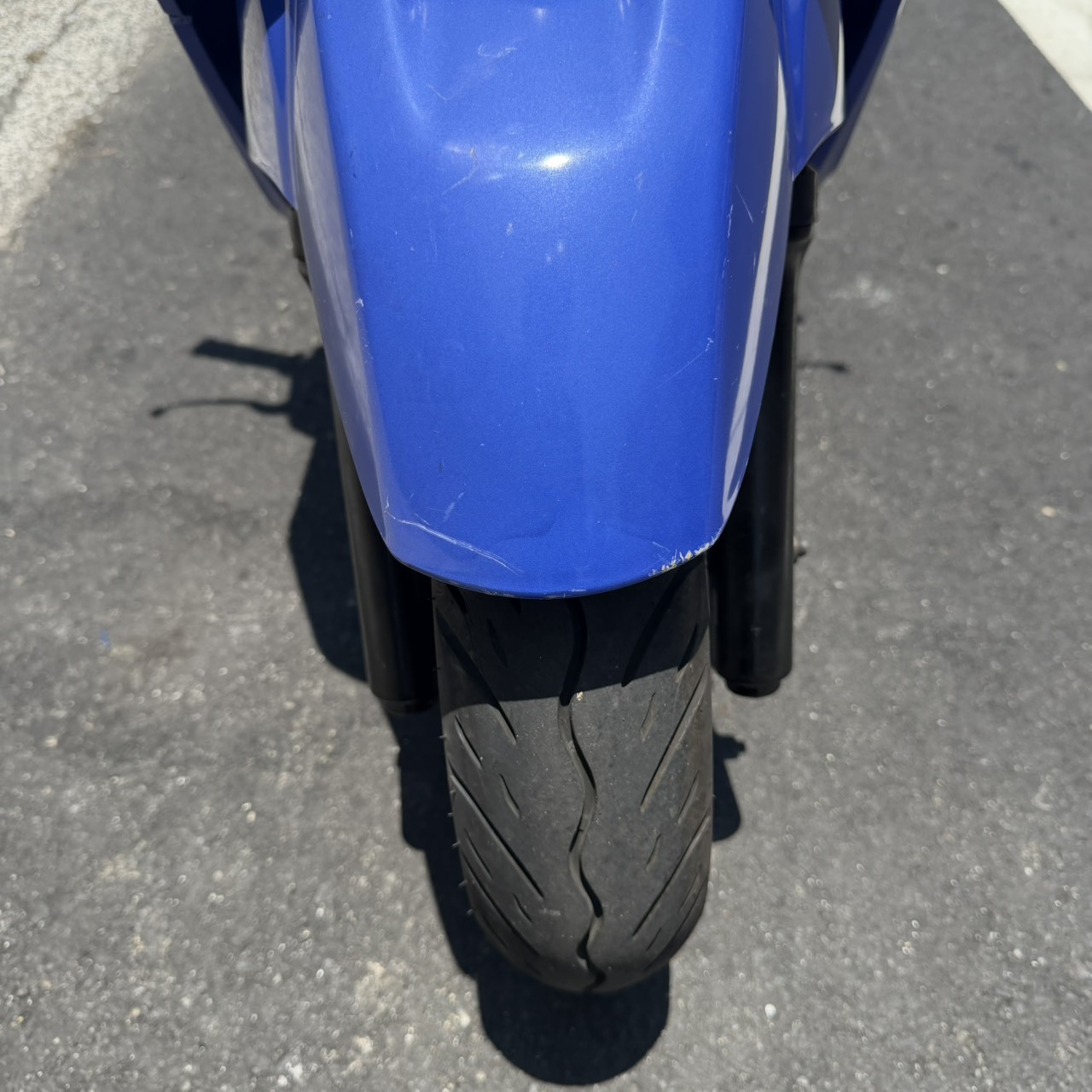 S__40845350_0