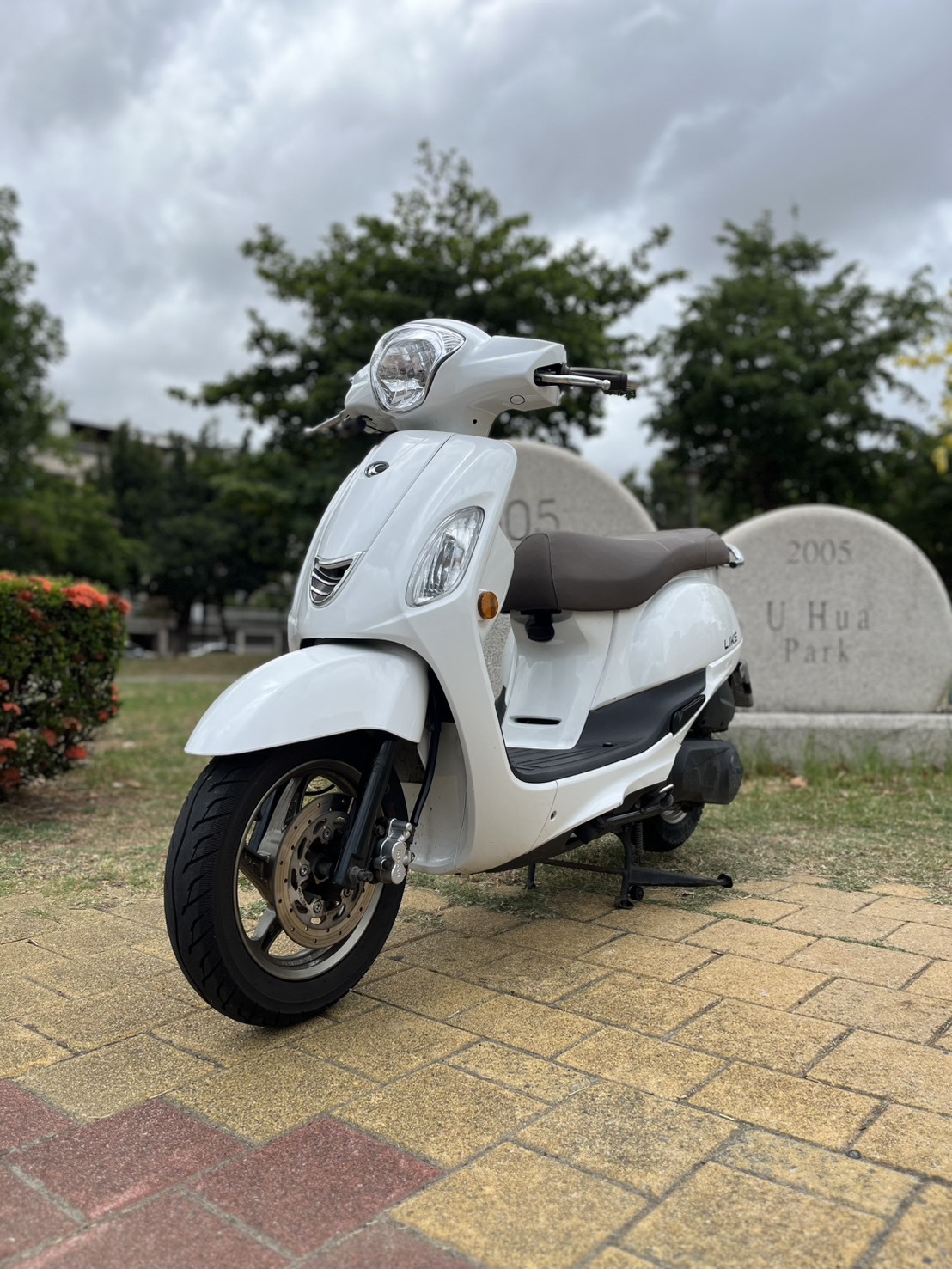 S__240869380_0