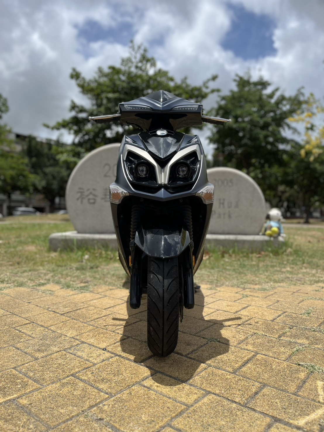 S__240861189_0