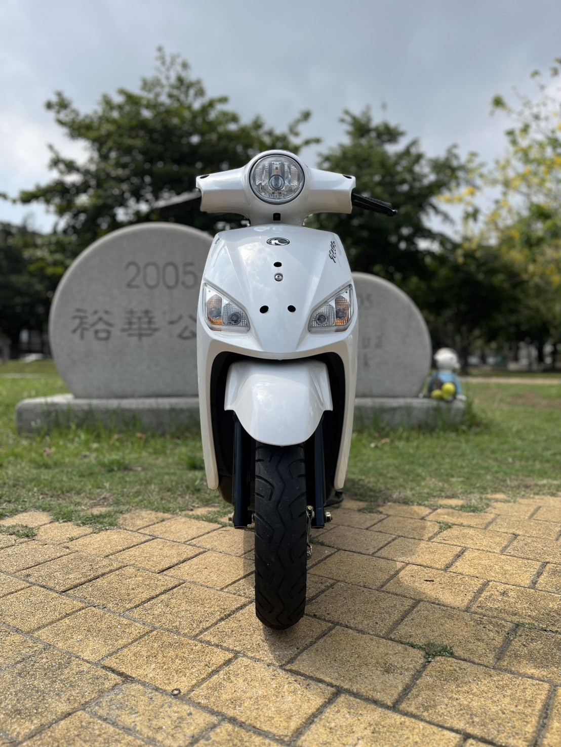 S__241098758_0