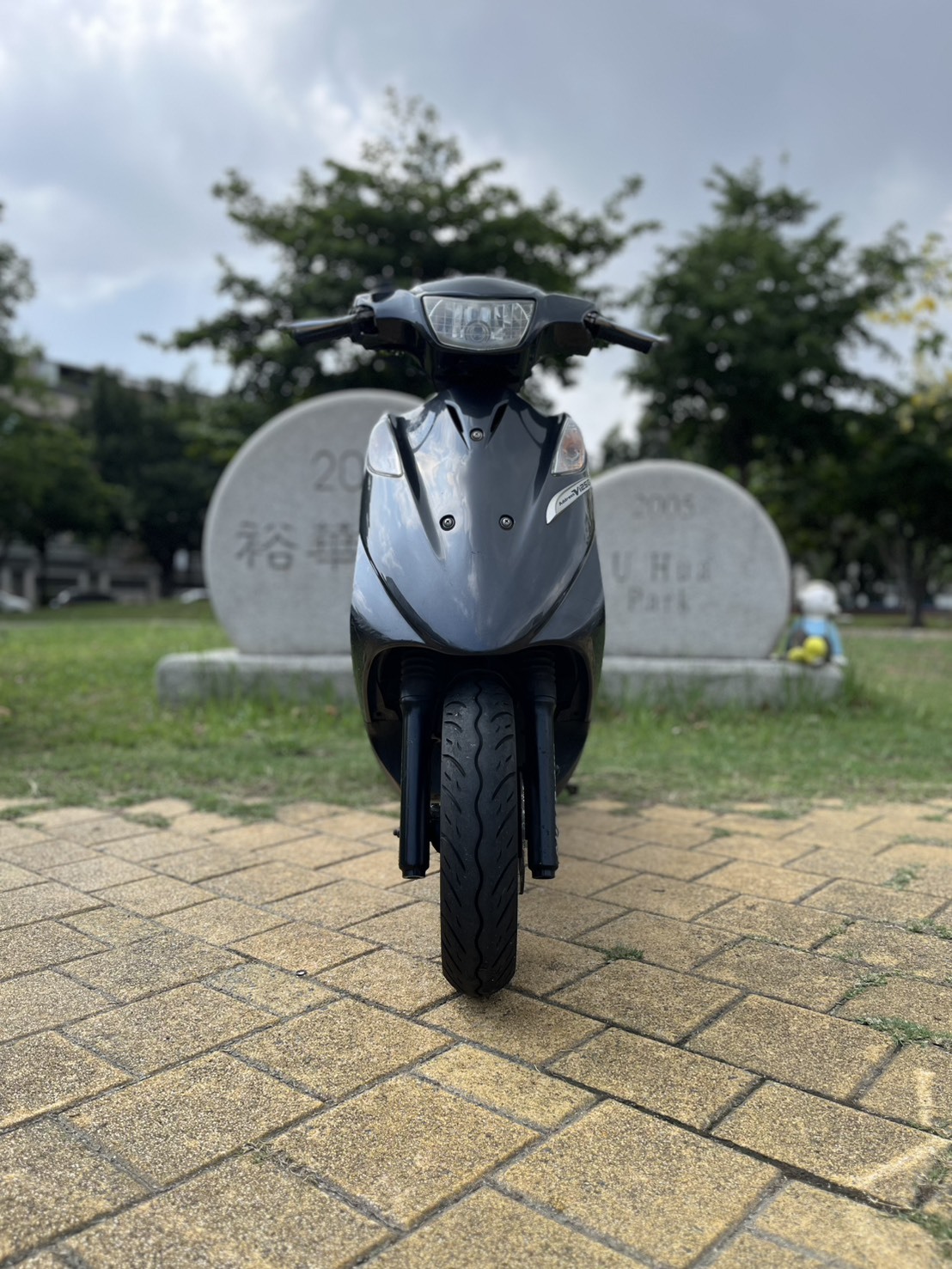 S__241106950_0