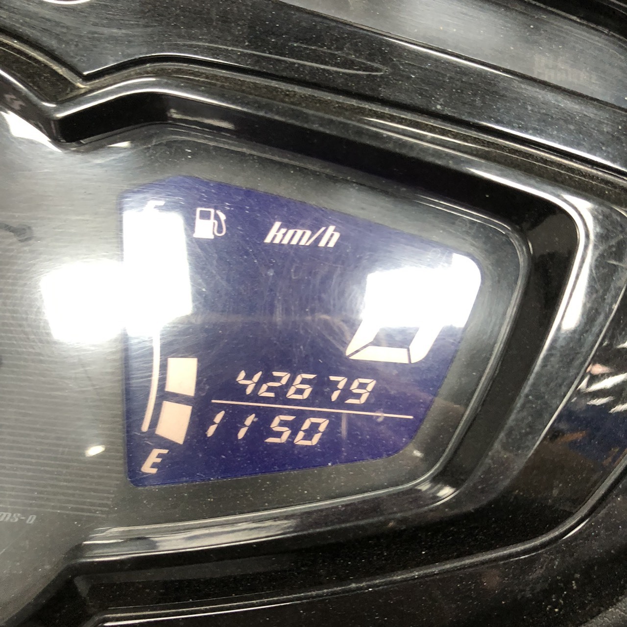S__244432944_0