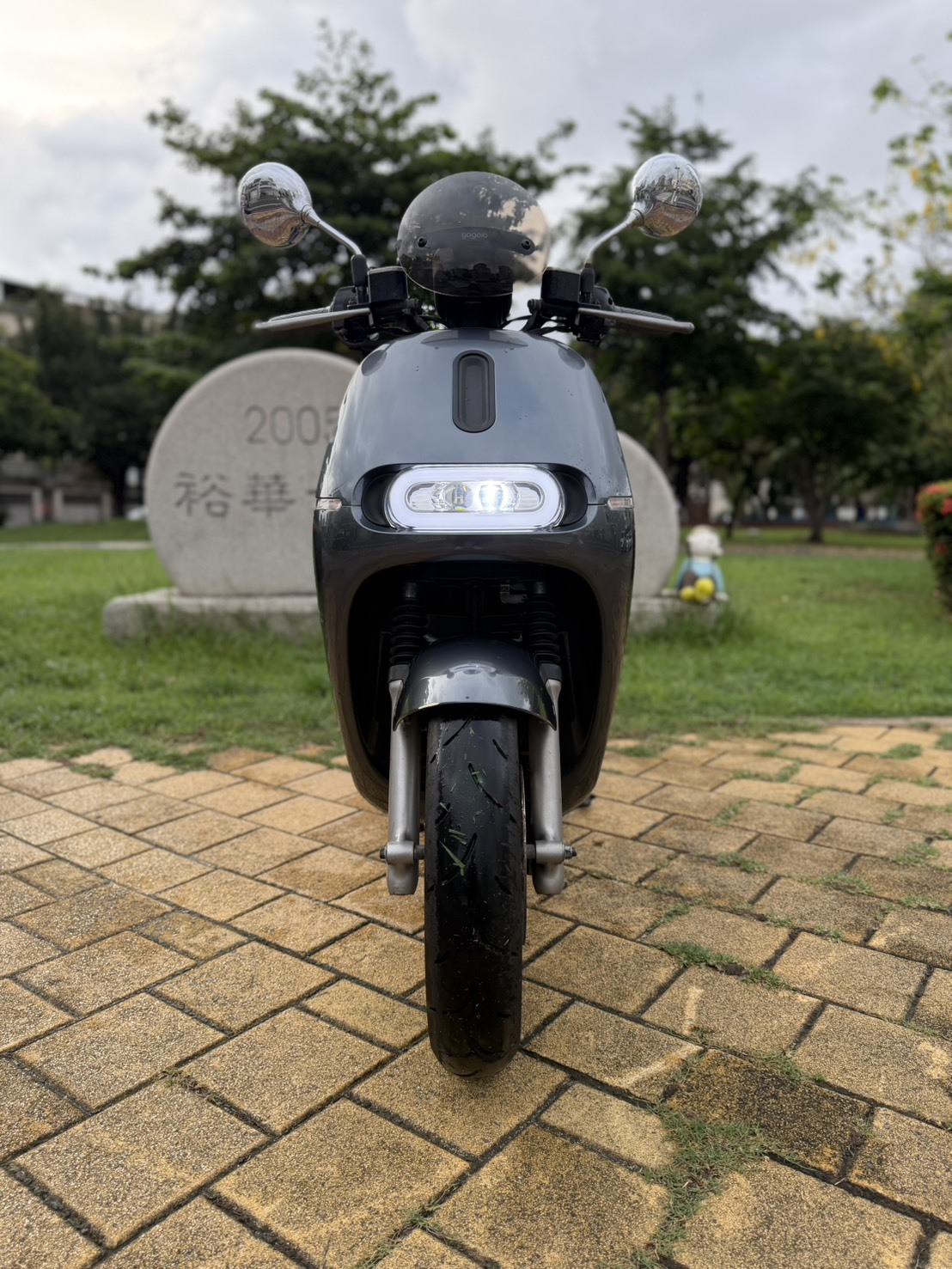 S__41058308_0