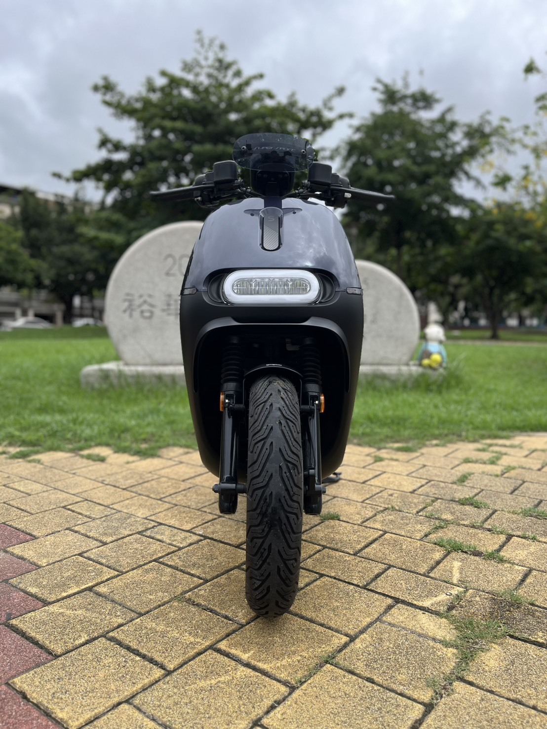 S__241704966_0