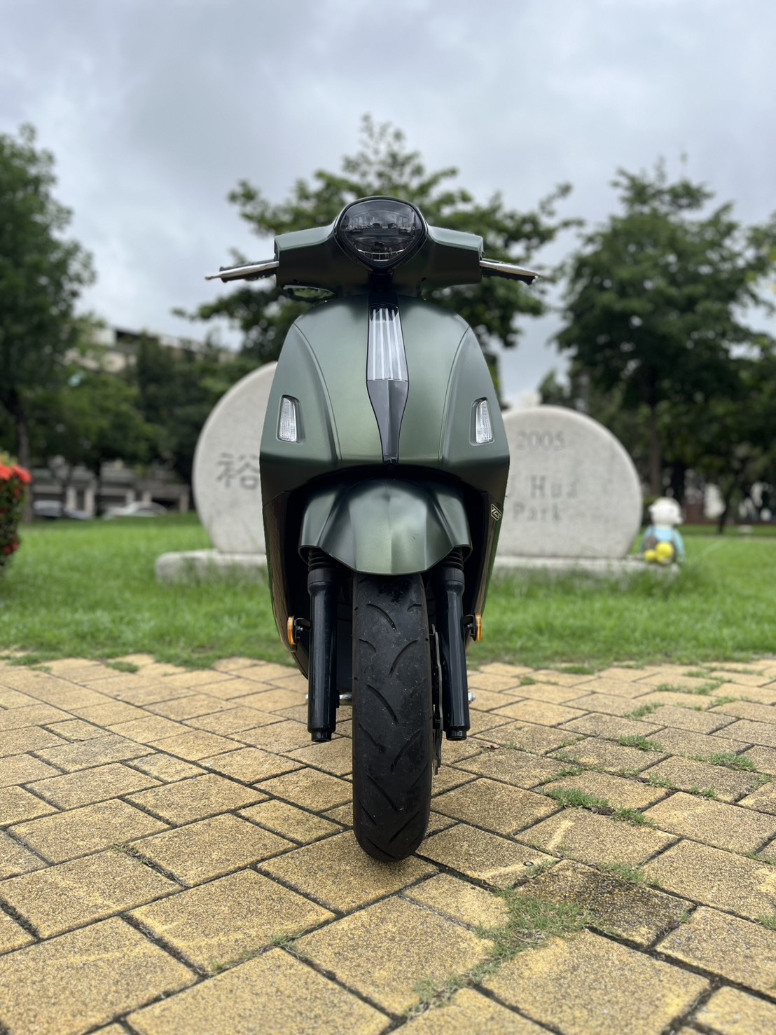 S__241688582_0