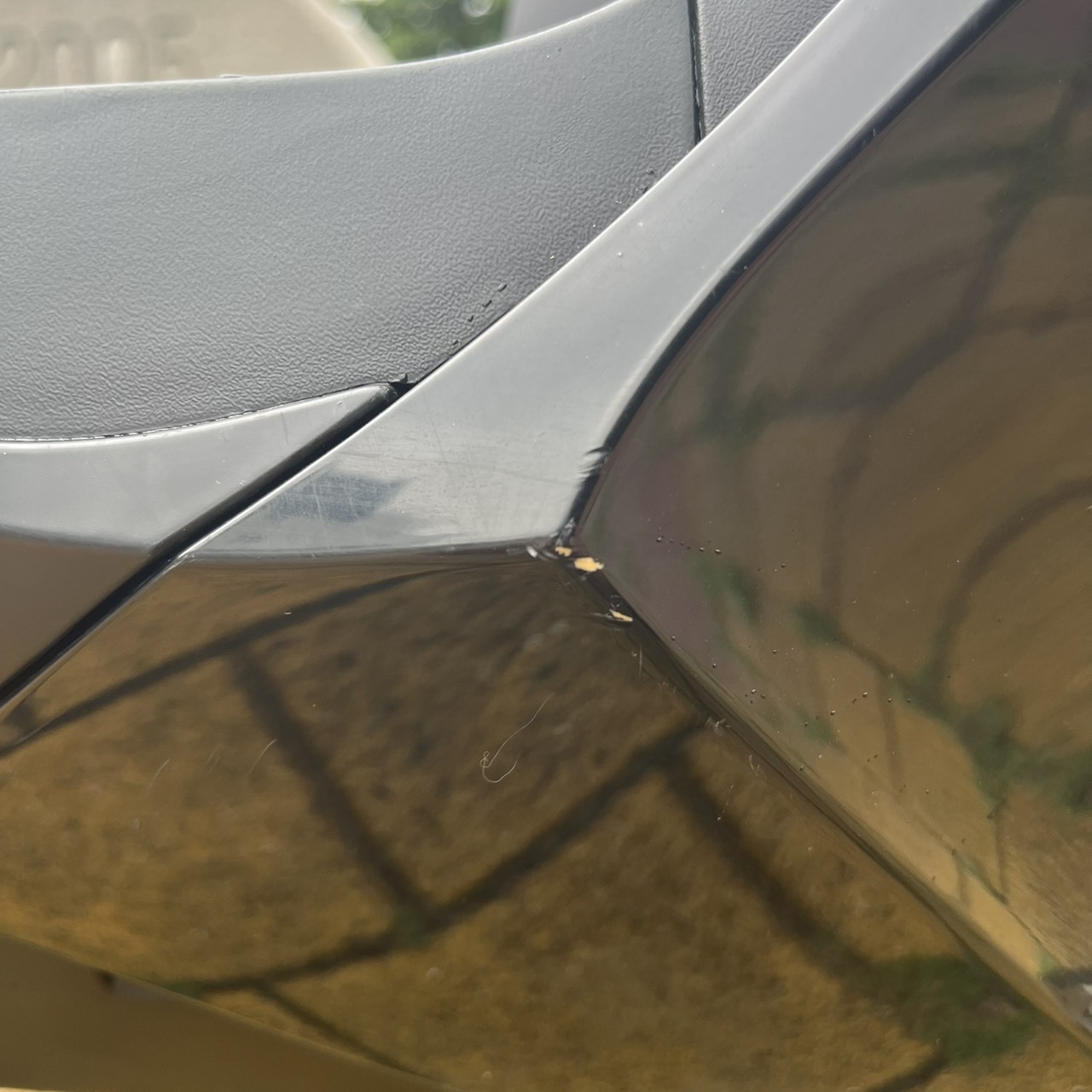 S__241868818_0