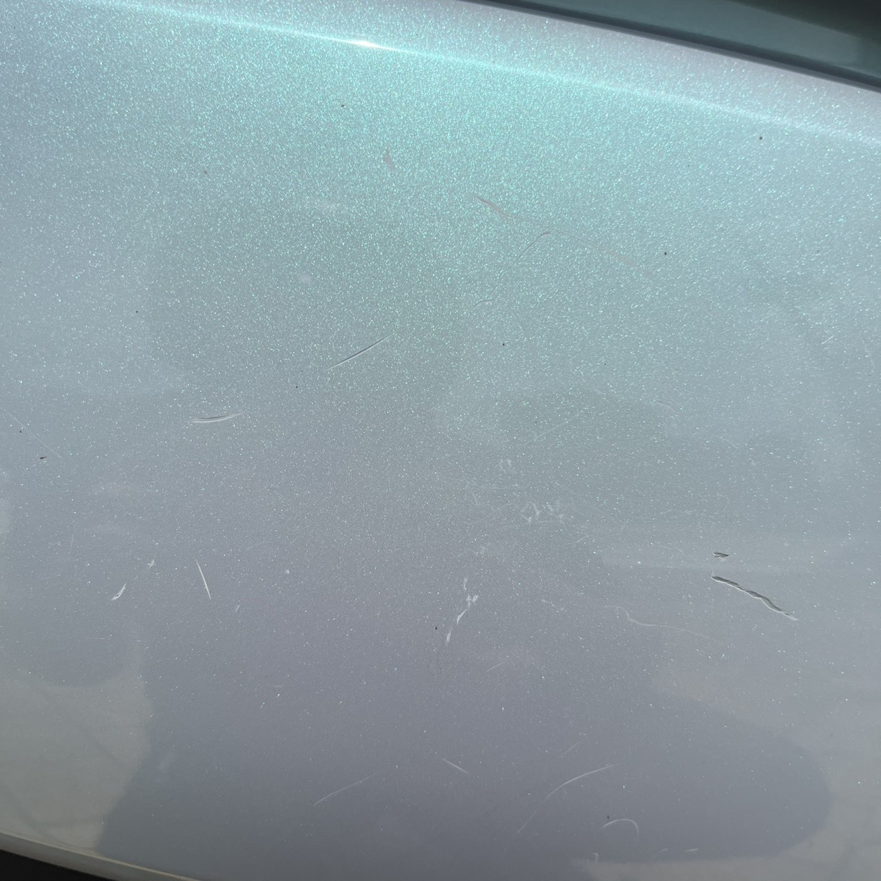 S__242245645_0