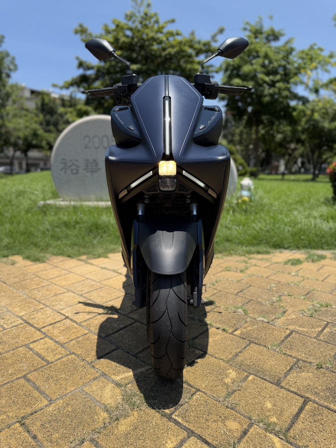 S__41574474_0
