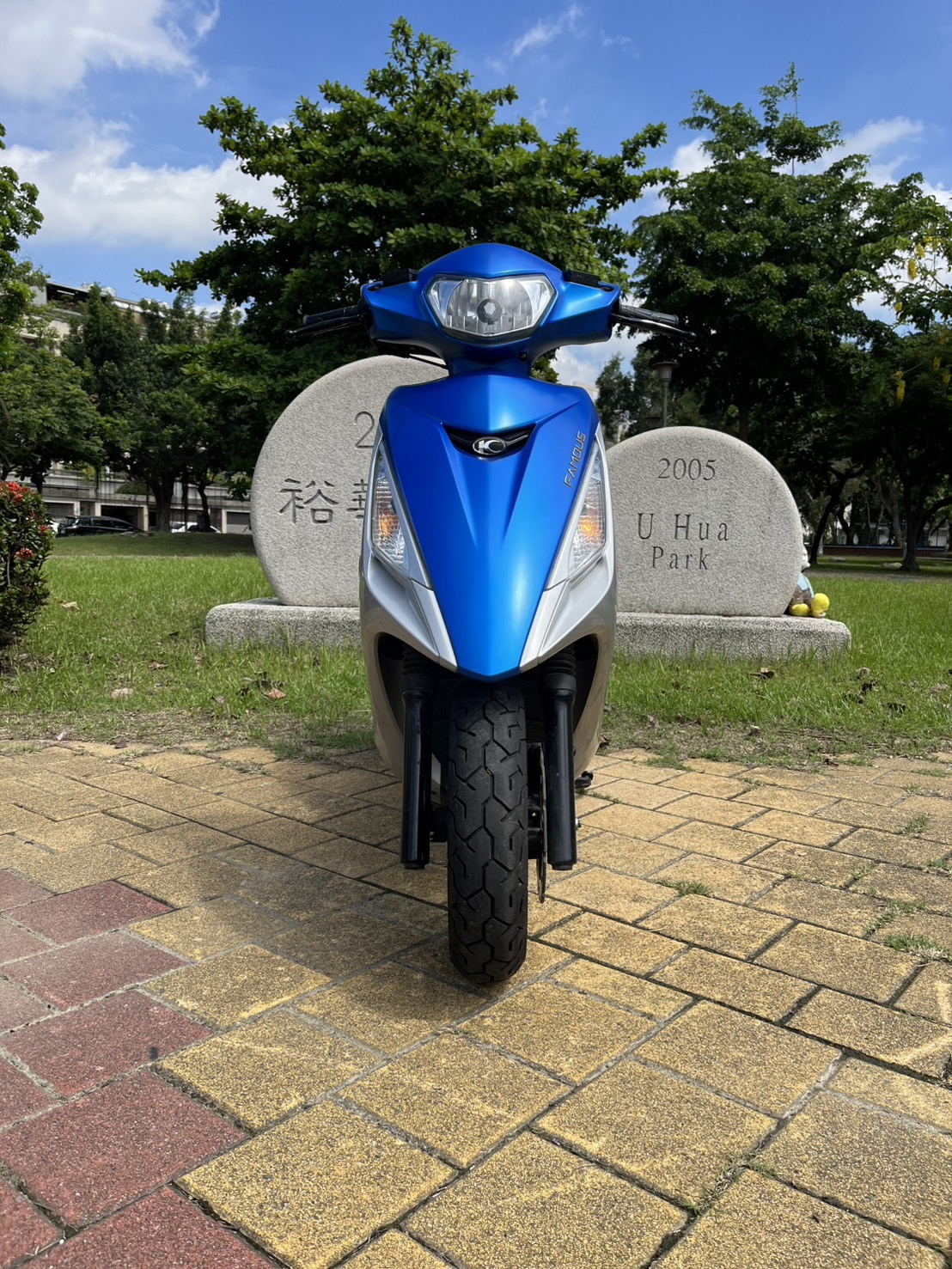 S__245243909_0