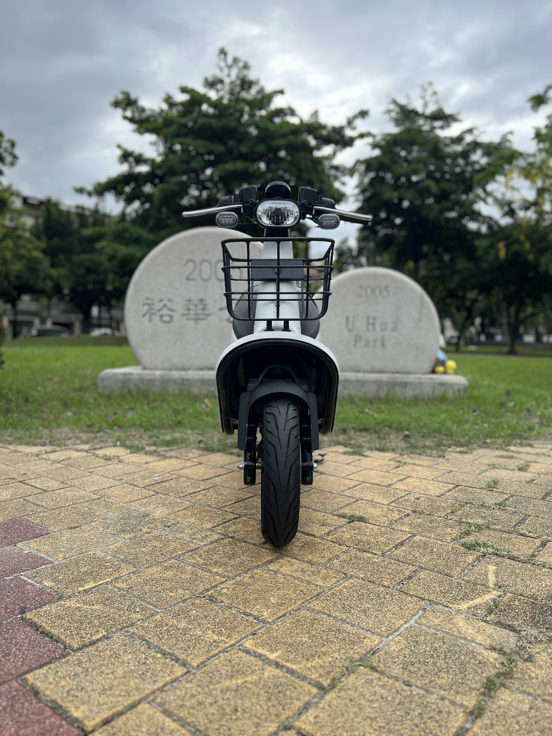 S__144154637_0