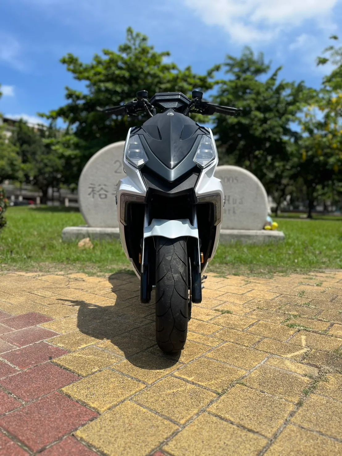S__245432324_0
