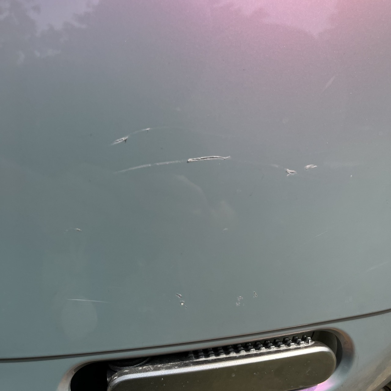 S__245661710_0