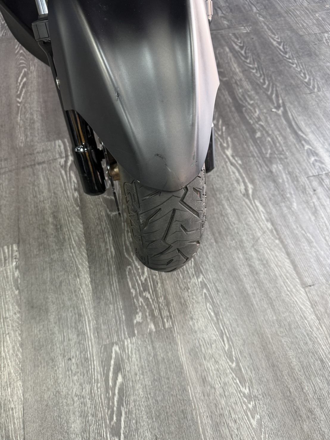 S__43900944_0