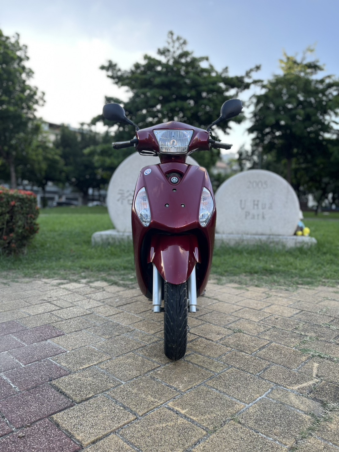 S__246325253_0