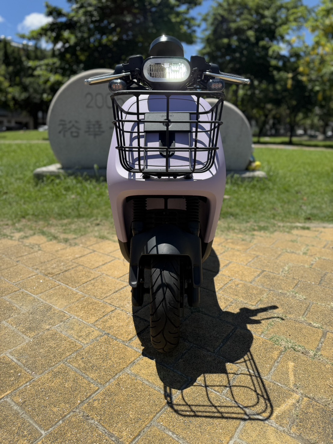 S__42213384_0