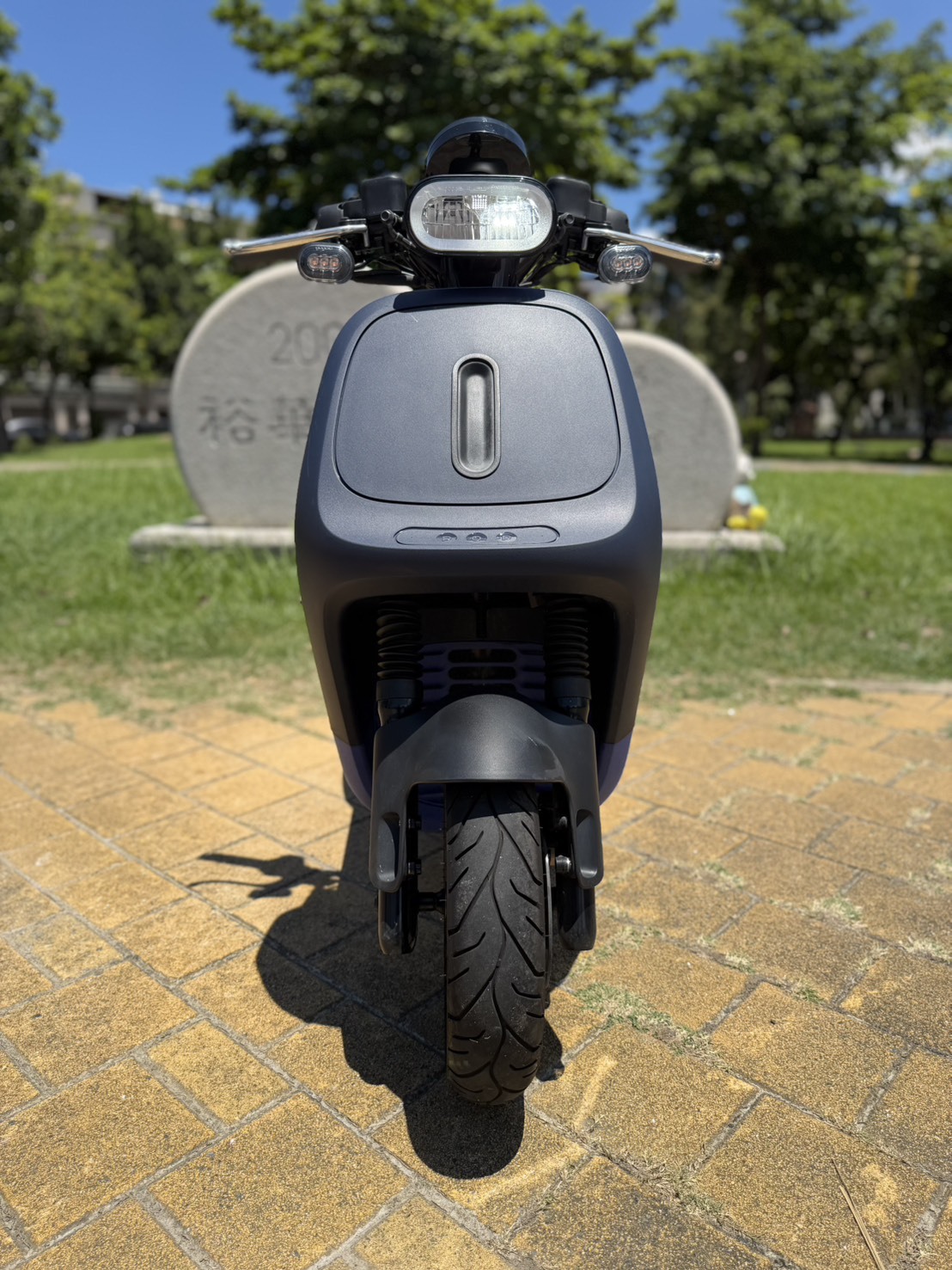 S__42246160_0