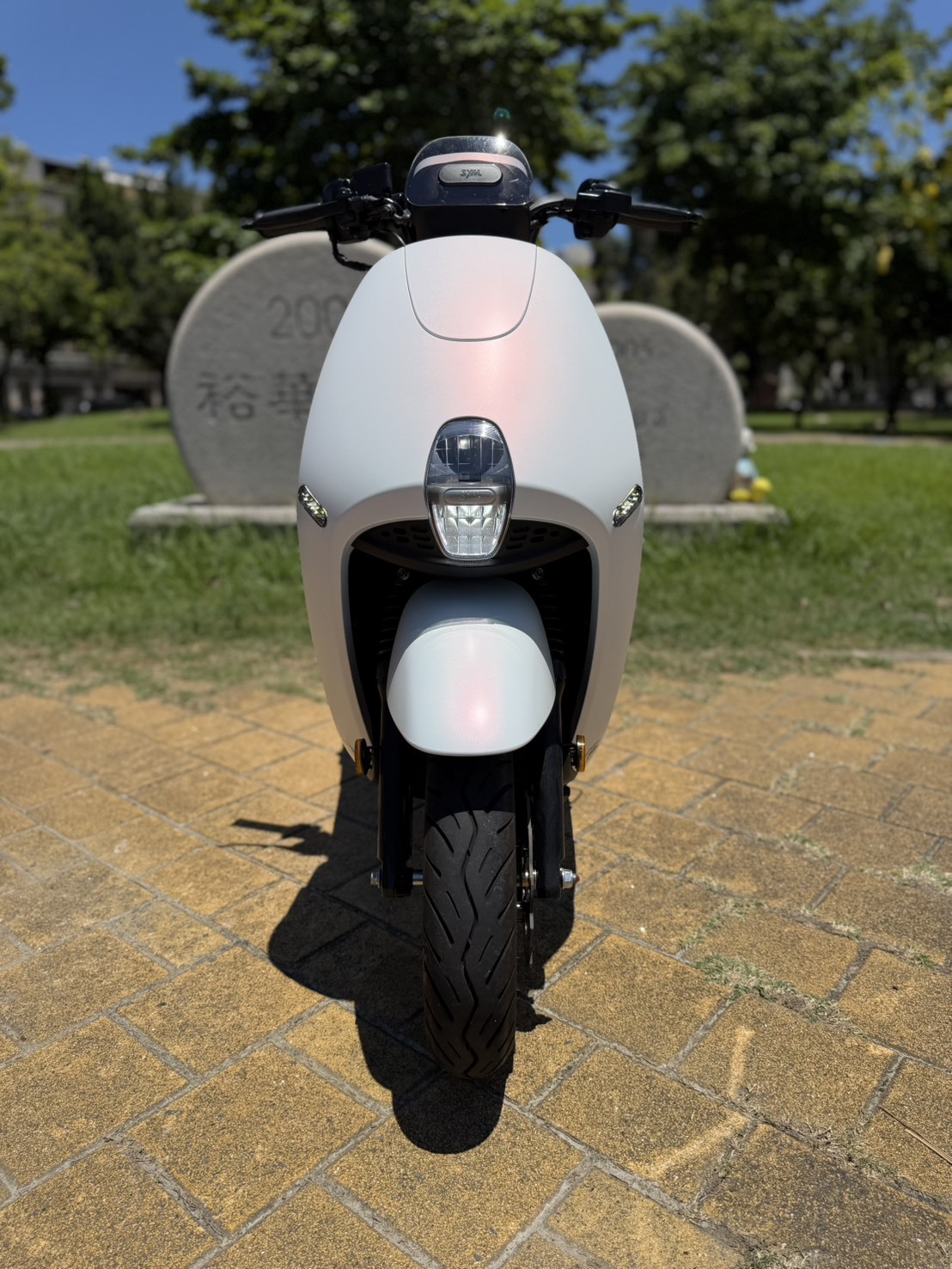 S__42246180_0