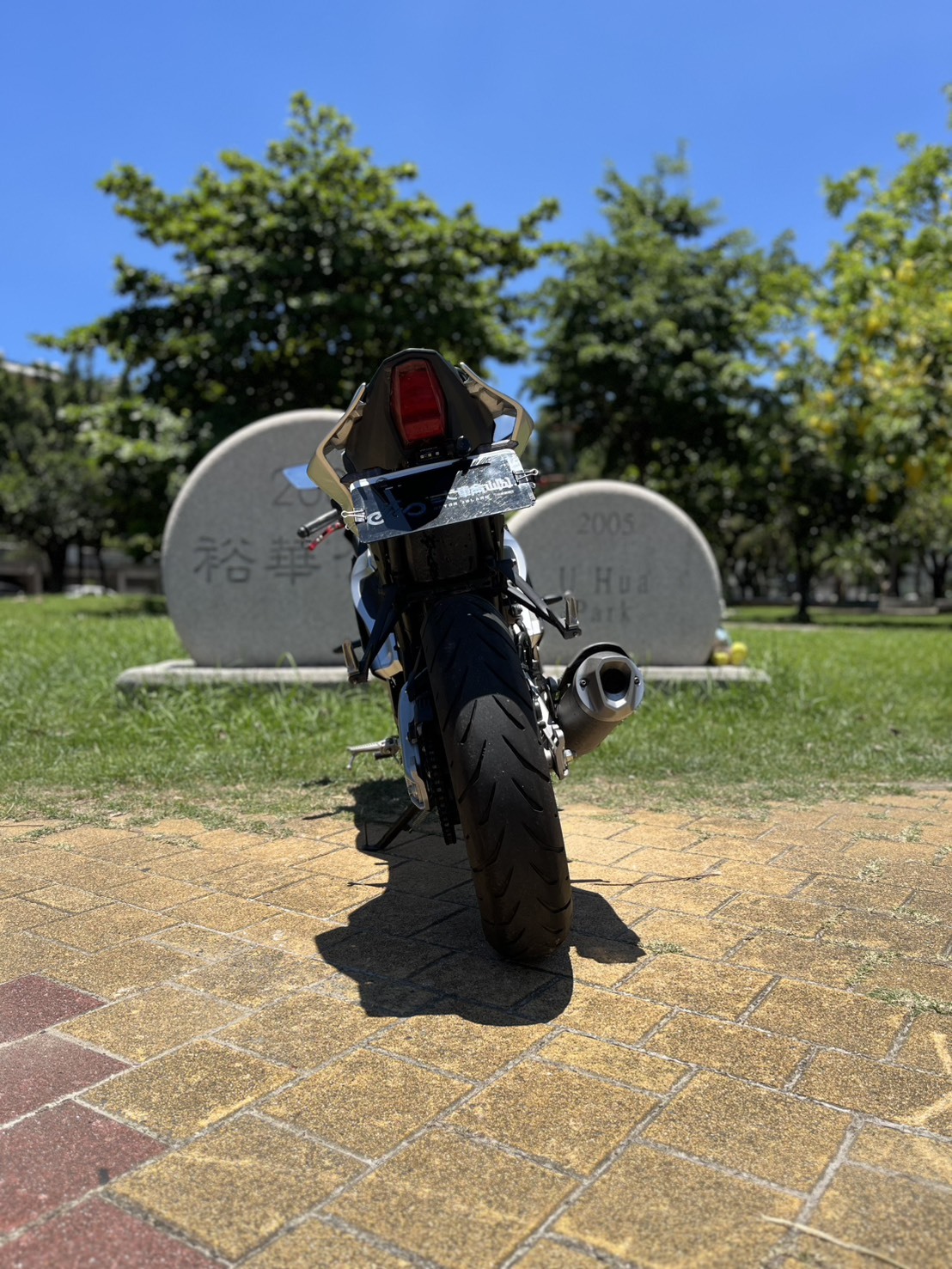 S__246980617_0