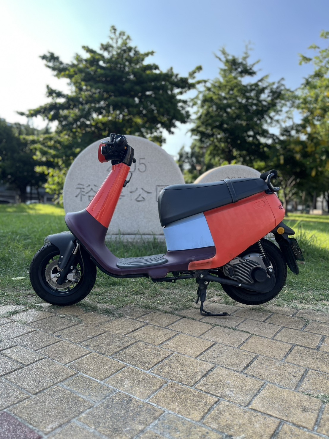 S__247398406_0