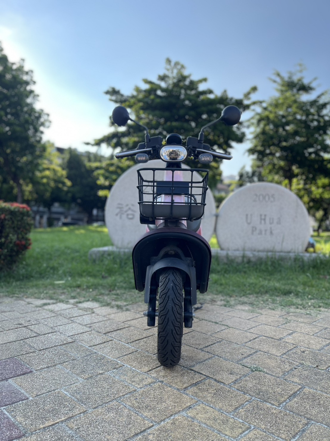 S__247406596_0