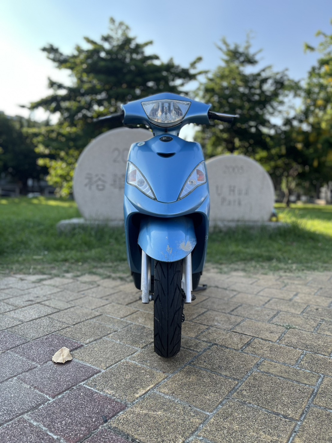 S__247414788_0