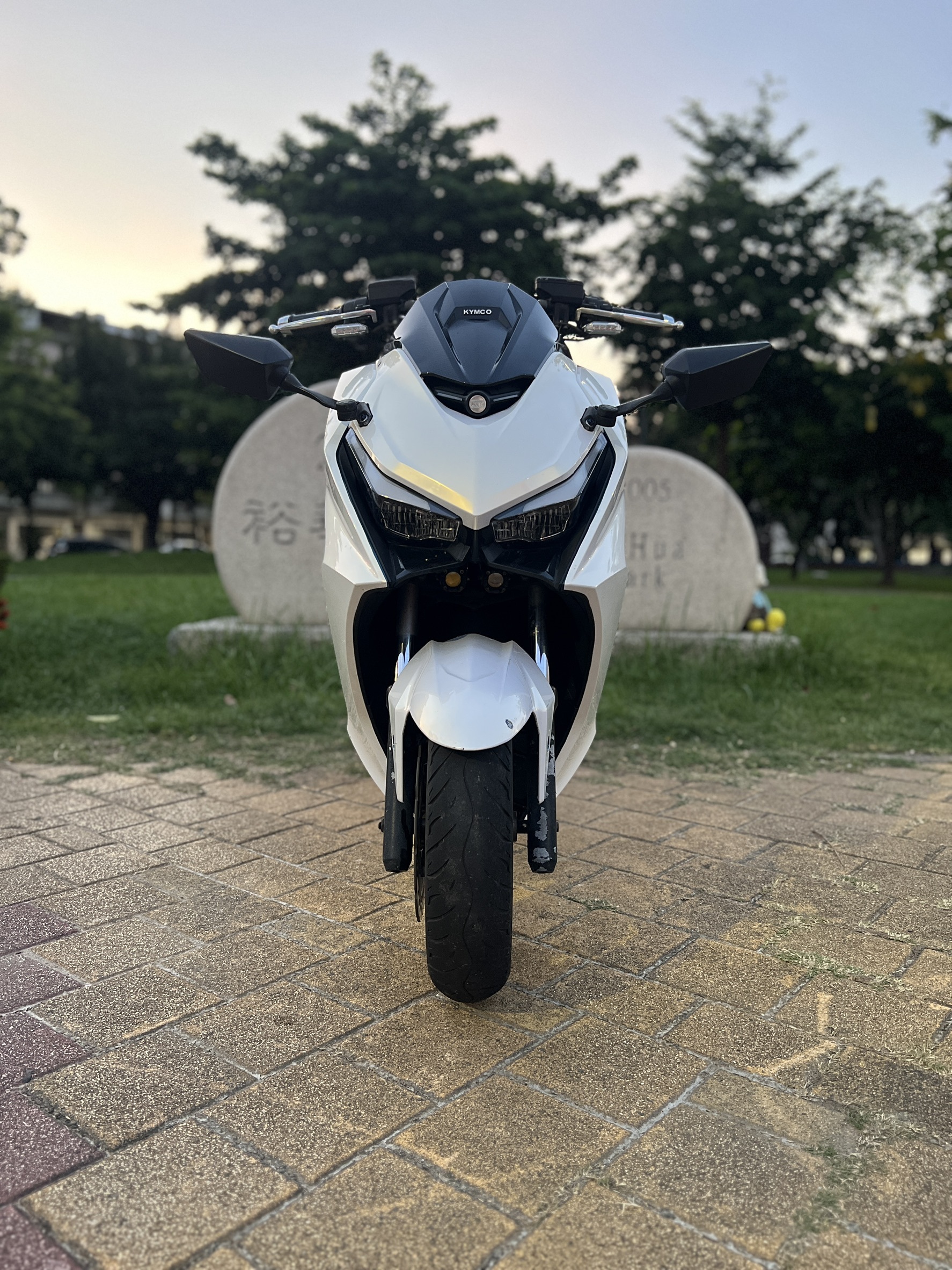 S__144588858_0
