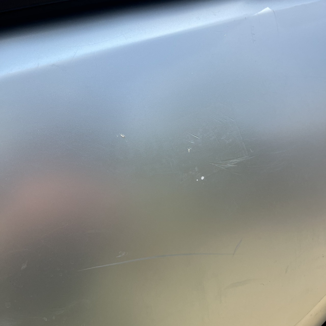 S__247570451_0