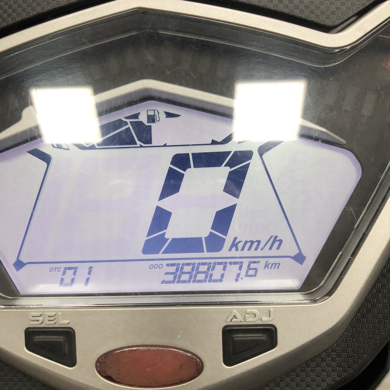 S__247496714_0