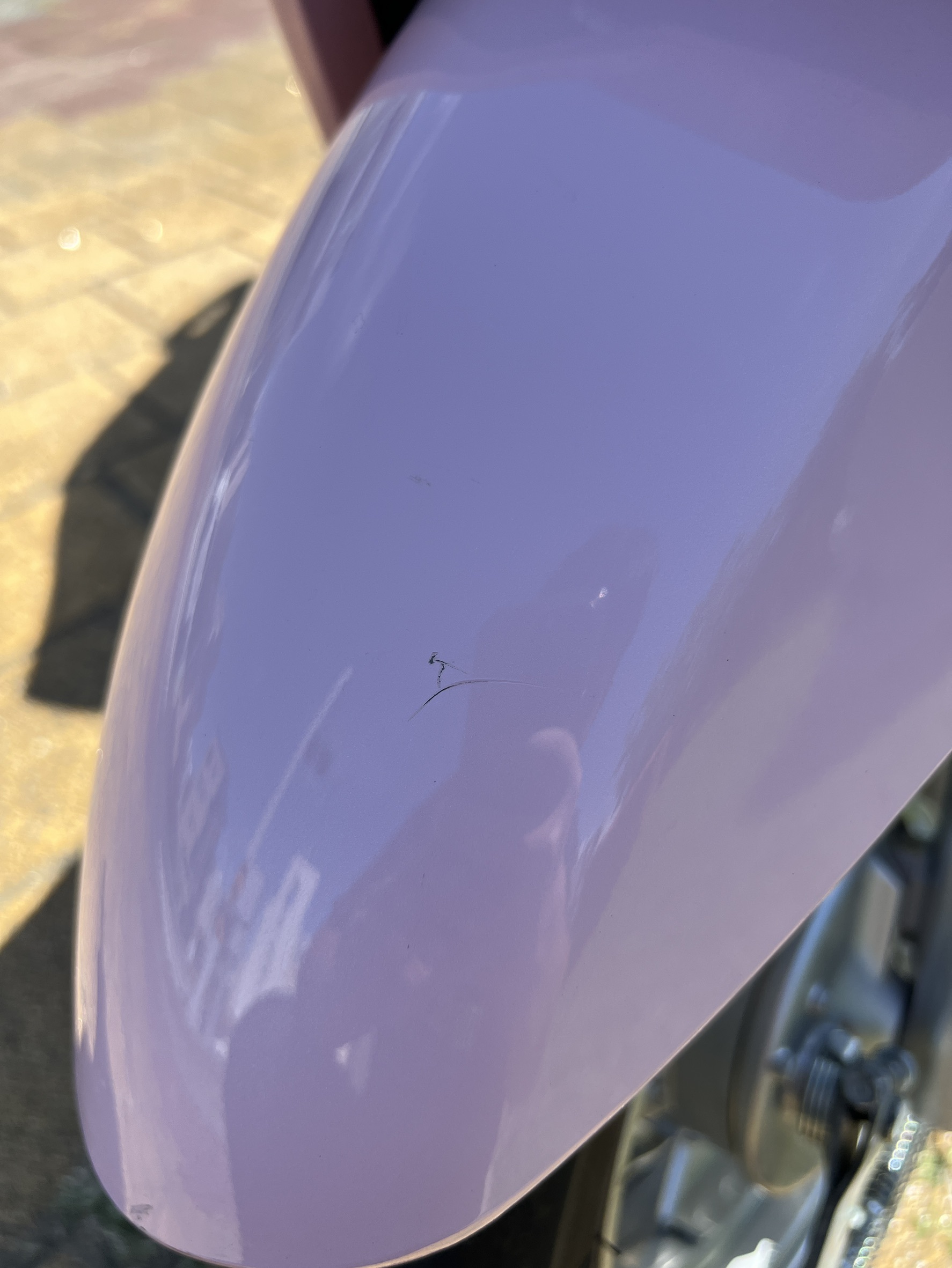 S__144695378_0