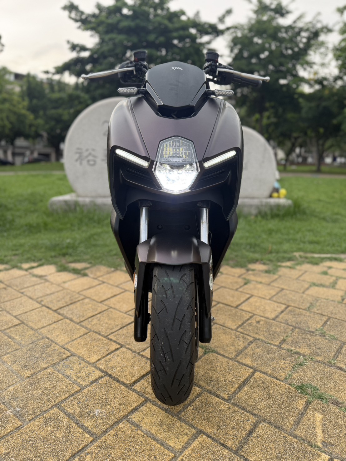 S__42778629_0