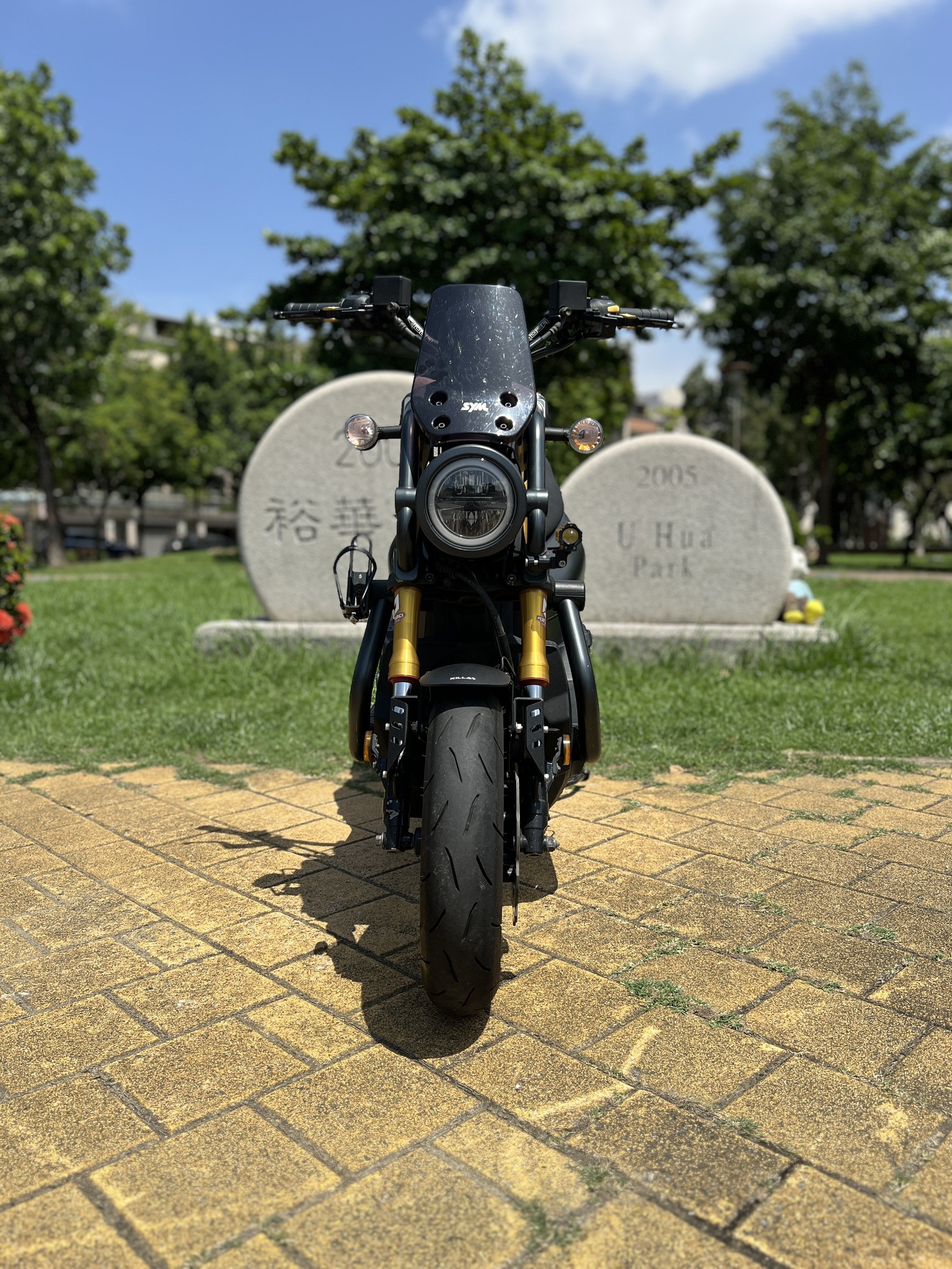 S__145154065_0