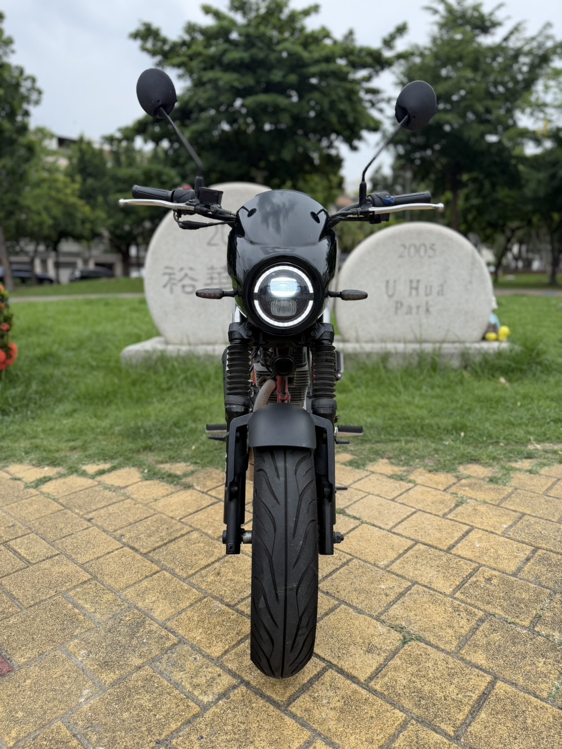 S__42852452_0