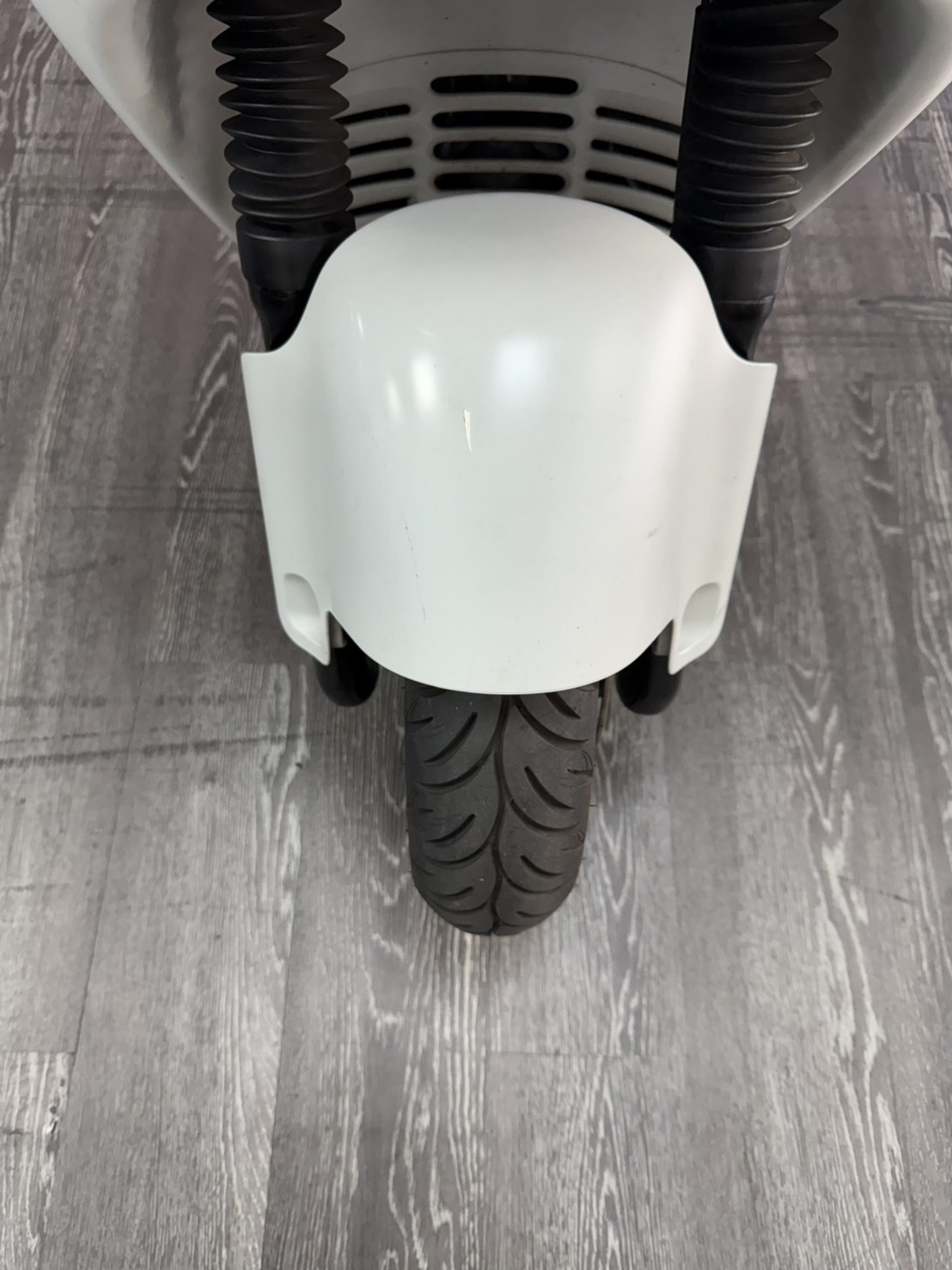 S__45858879