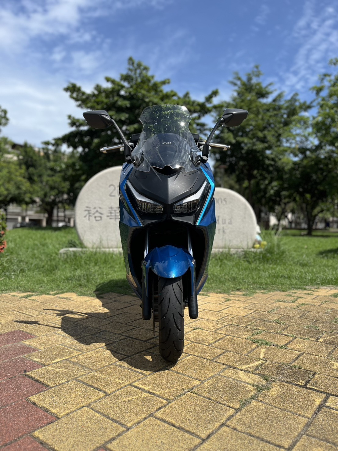 S__250855429_0
