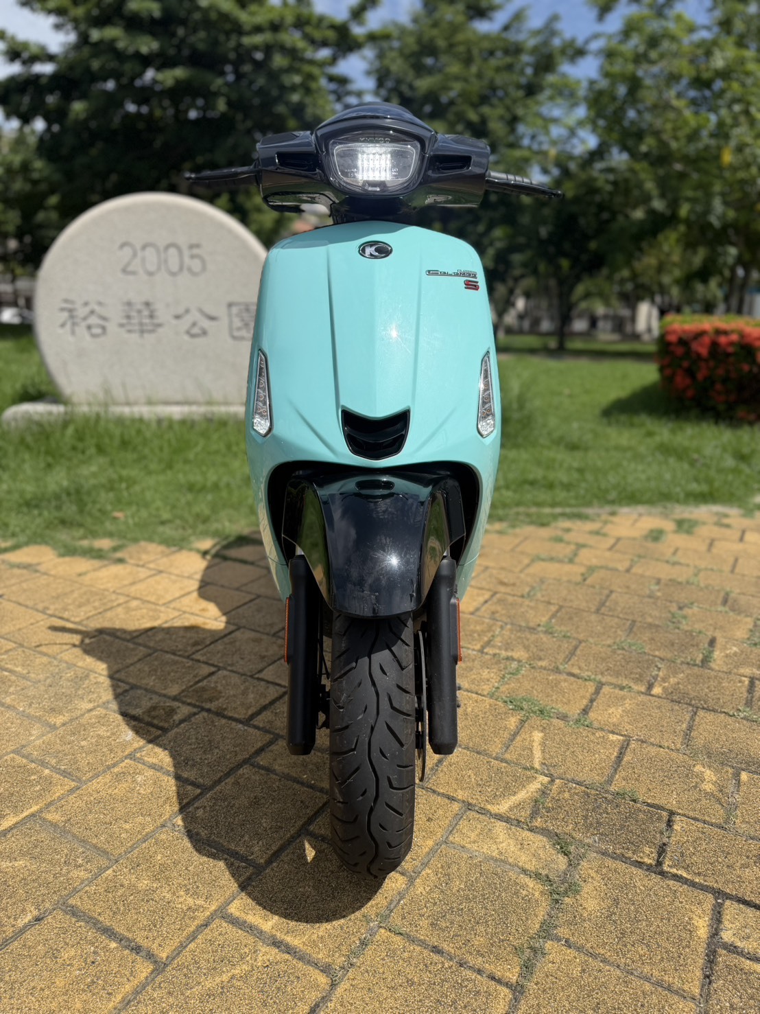 S__43057190_0