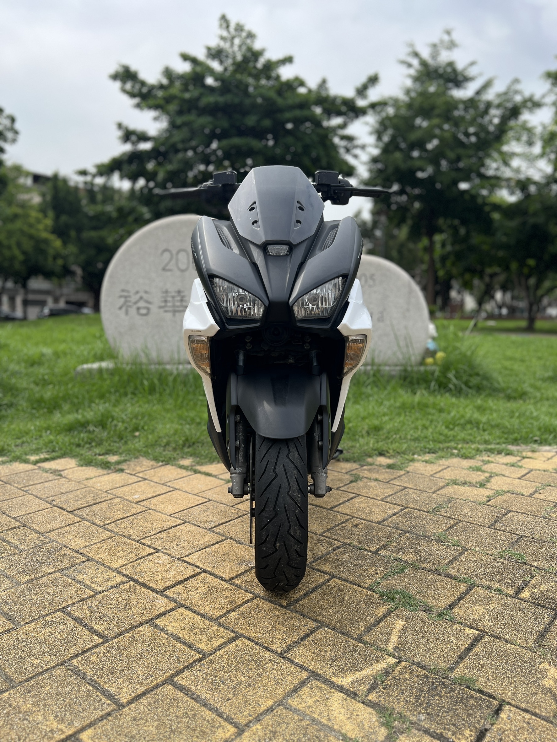 S__145408093_0