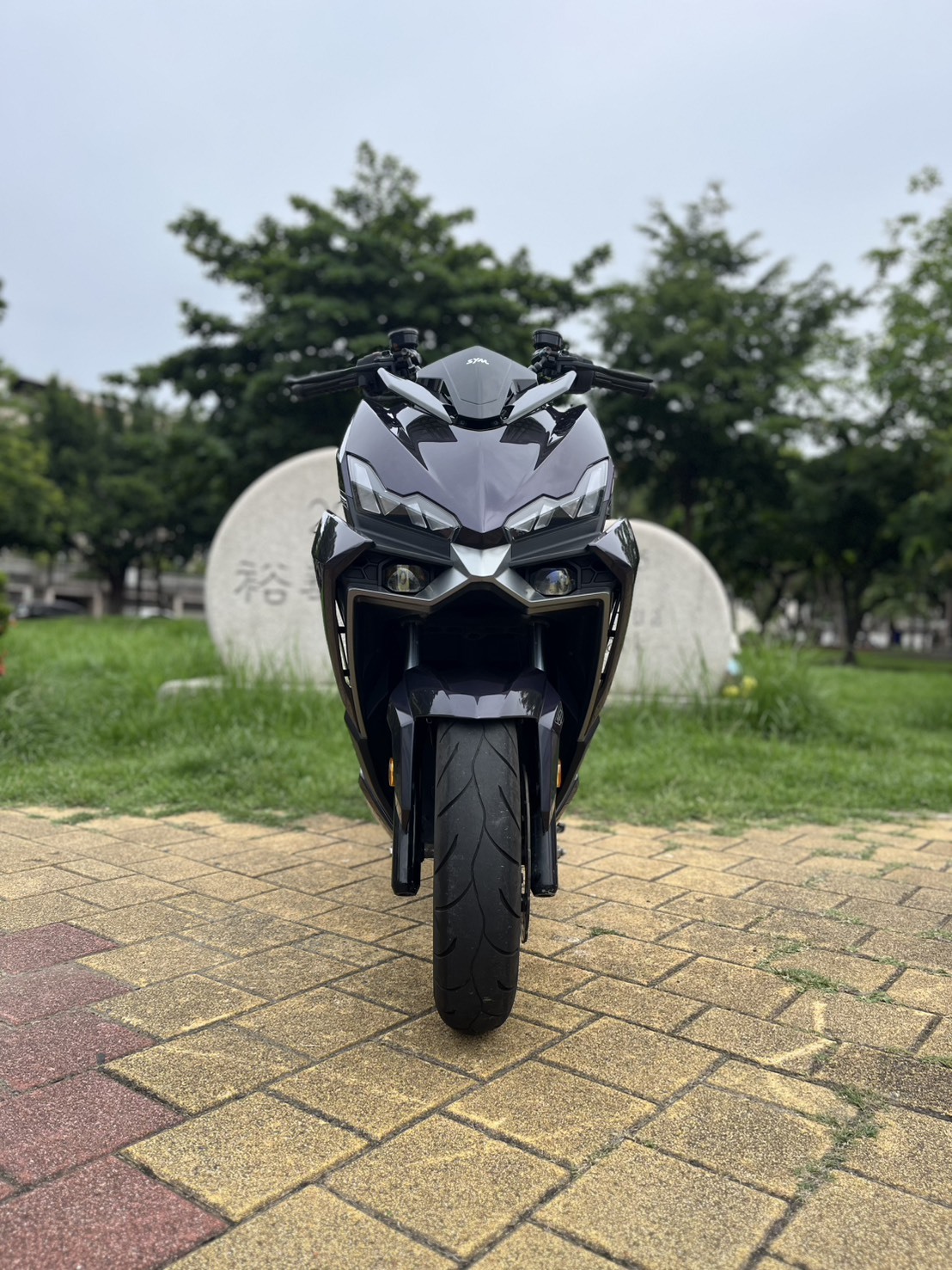 S__251494406_0