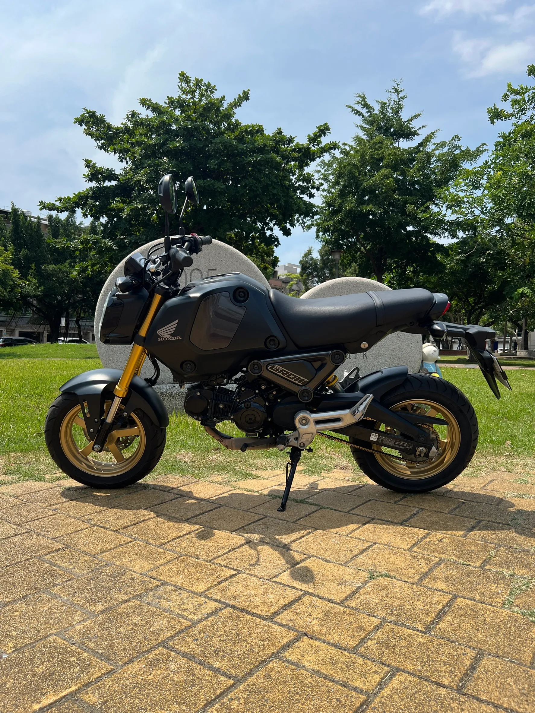S__145547289_0