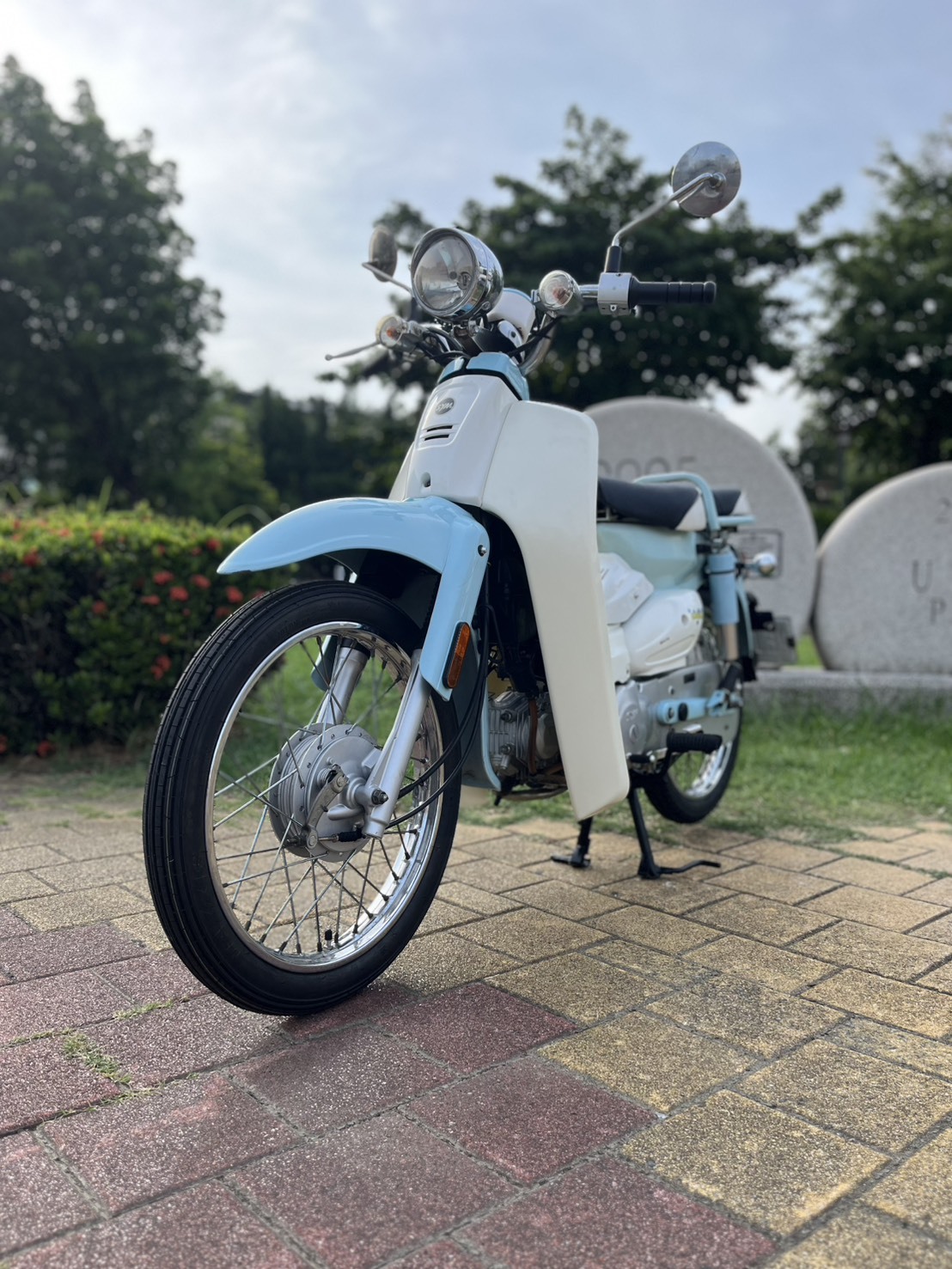 S__253583363_0