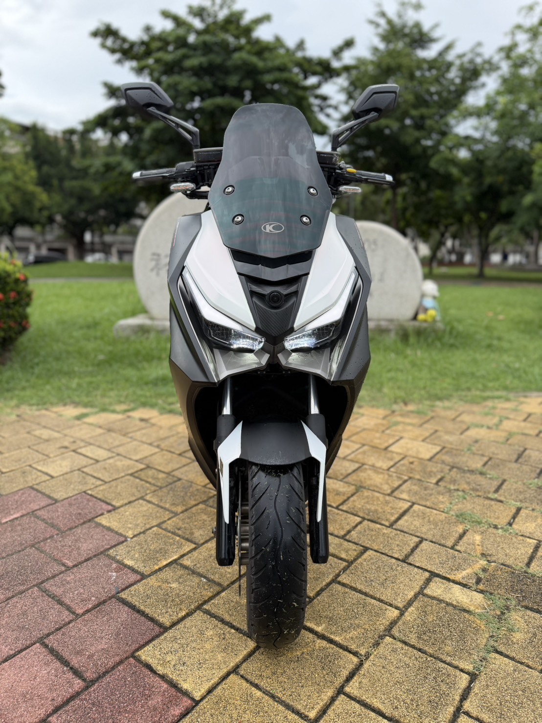 S__43827209_0