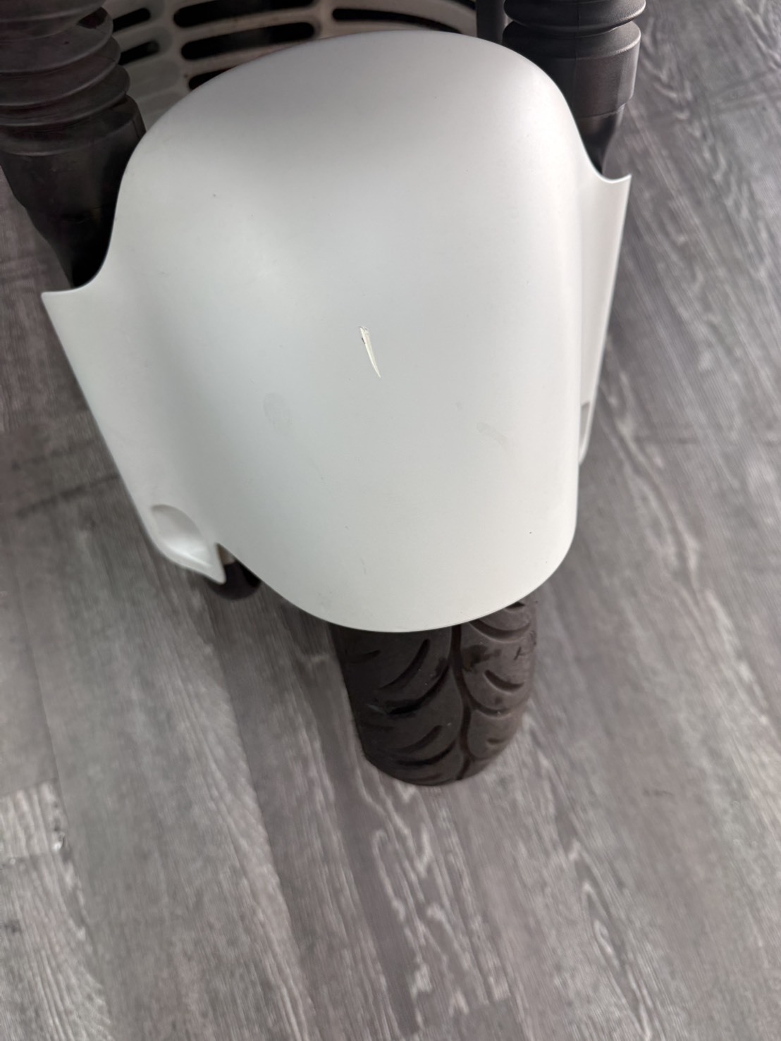 S__47579145_0