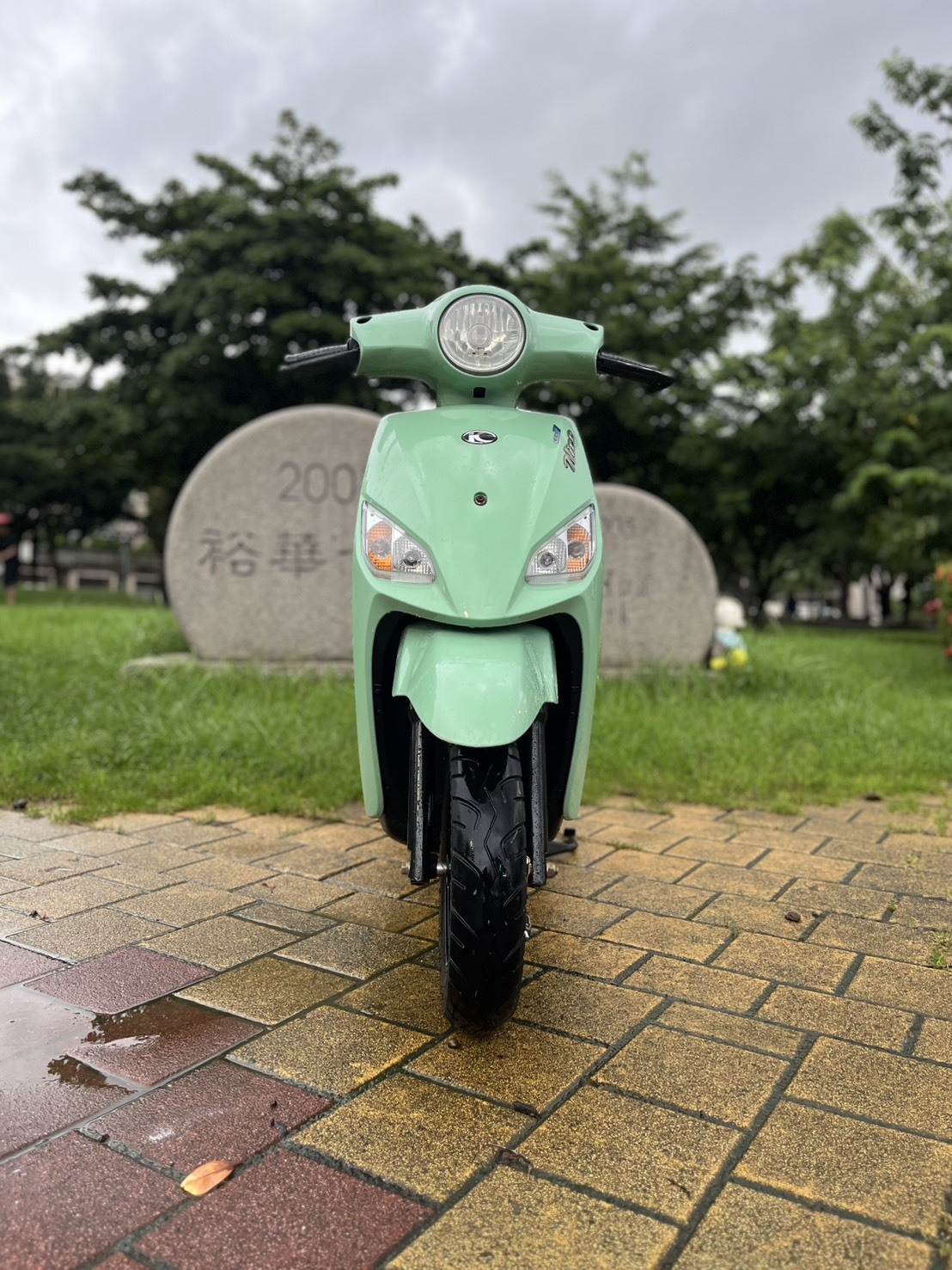 S__255852549_0