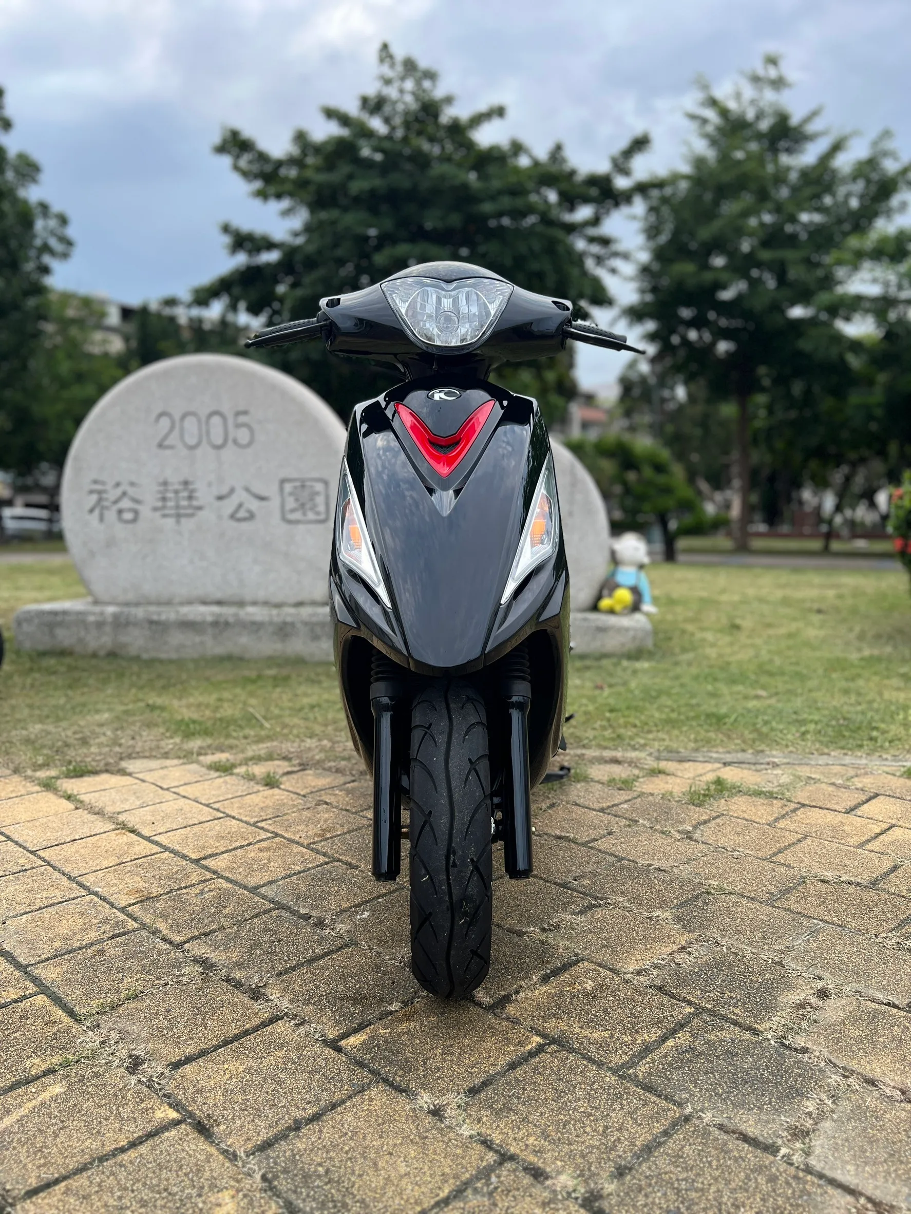 S__146571282_0